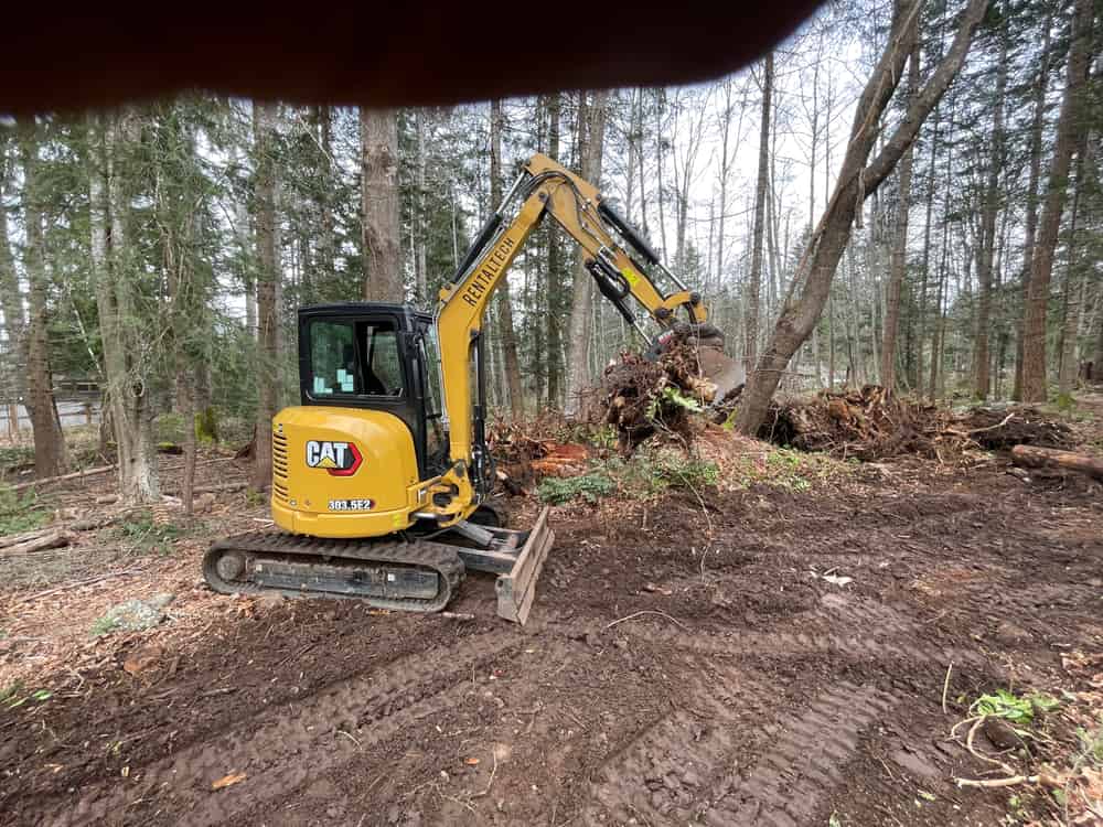 Land Clearing image