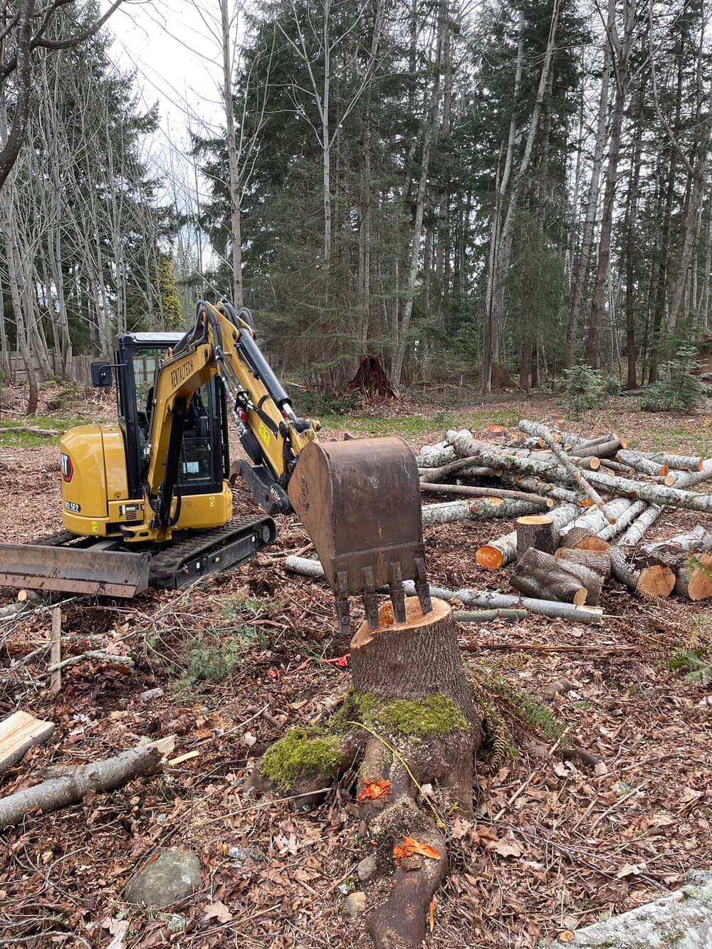 Excavator removing tree stump in a wooded area with cut logs nearby.