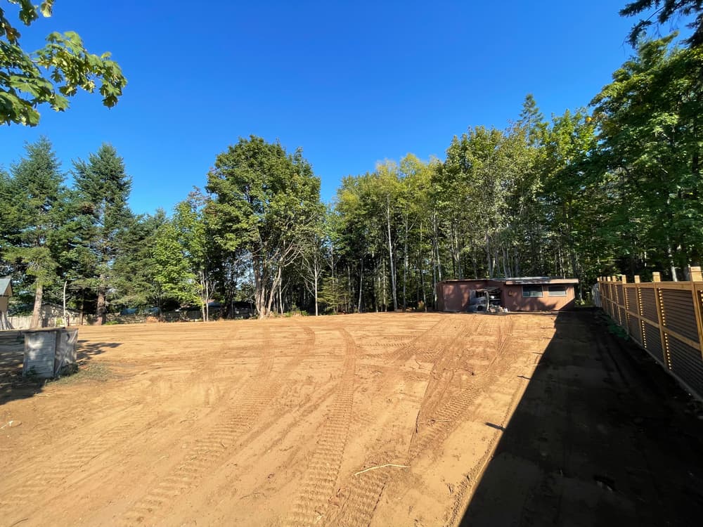 Cleared land with trees and blue sky, preparation for new construction or landscaping.